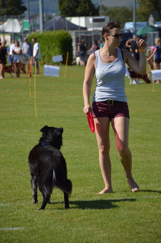 Ergebnisse und Fotos vom Dogfrisbee Fun Turnier am 1. Hundetag Korneuburg 2015